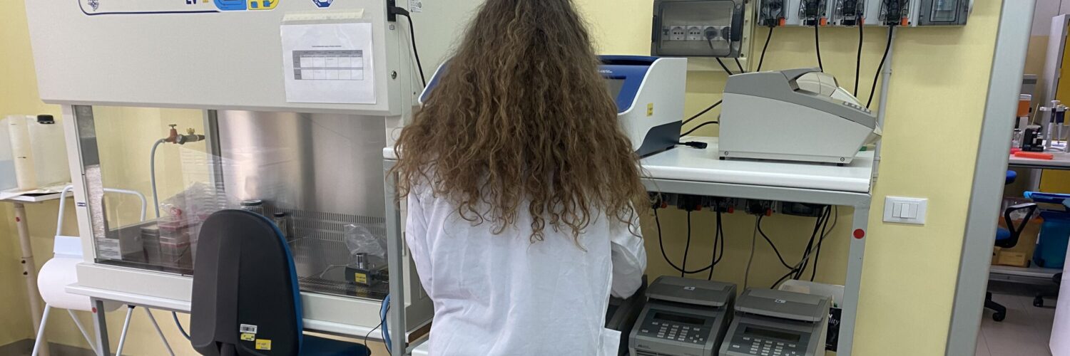 selezione rapida con AI