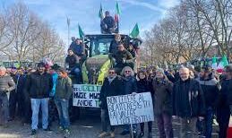 Confagricoltura in piazza? All'indomani dell'esibizione di Coldiretti in Belgio e delle polemiche sull'incontro tra ministro e manifestanti