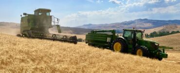 Un viaggio nella produzione di grano duro in Sicilia. Scopri le sfide, gli accorgimenti e i successi di un produttore siciliano di grano duro