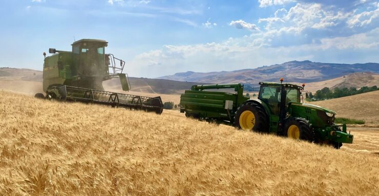 Un viaggio nella produzione di grano duro in Sicilia. Scopri le sfide, gli accorgimenti e i successi di un produttore siciliano di grano duro