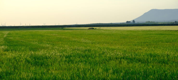 come si salva la campagna