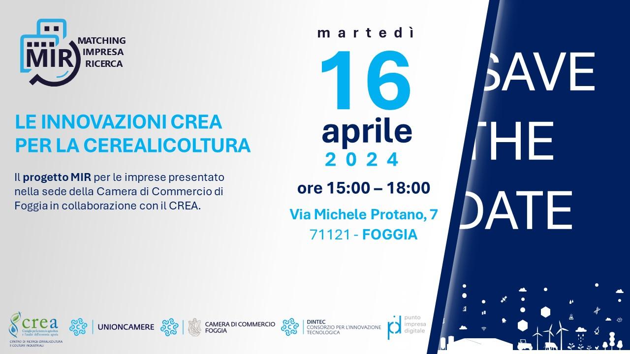 save the date crea