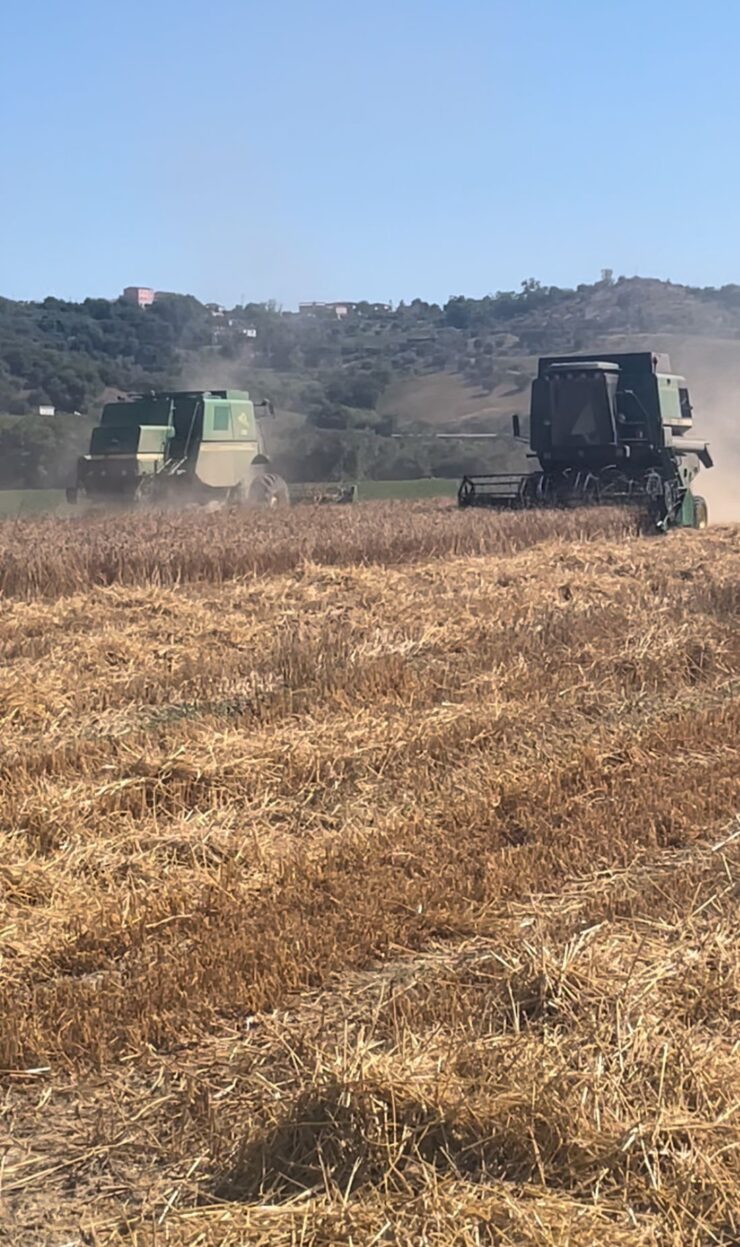 Calabria fatica