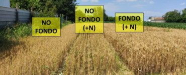 concimazione di fondo