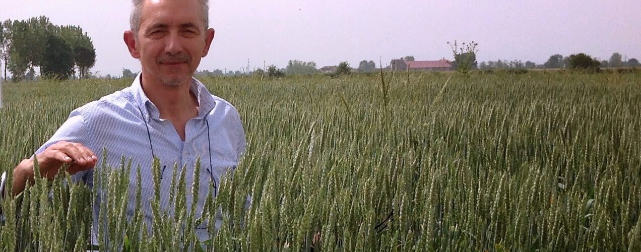 miscugli di legge