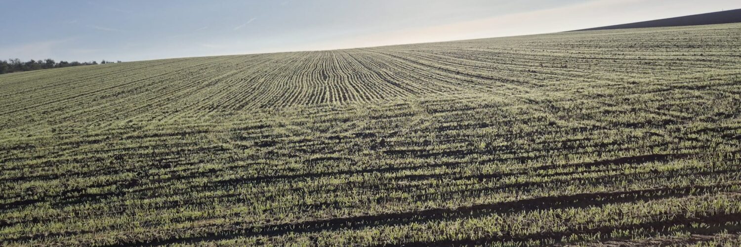 a foggia meno 40% di semine