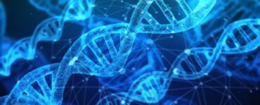 la genetica alza lo scudo