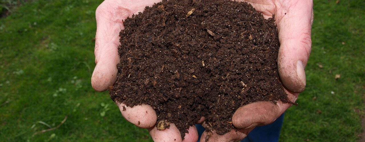 fertilizzare compost fanghi