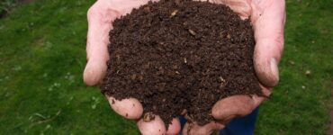 fertilizzare compost fanghi