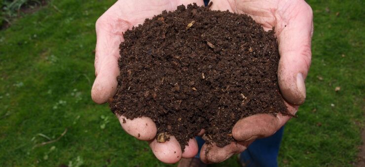 fertilizzare compost fanghi