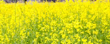 rigenerare dalle parole ai fatti