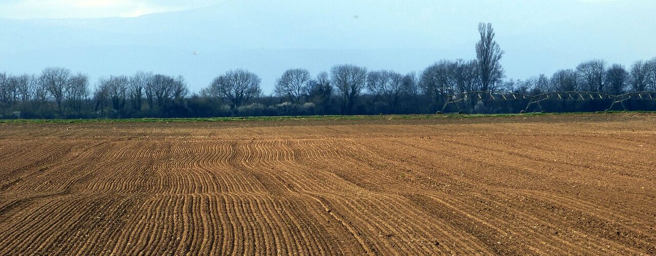 fanghi di depurazione