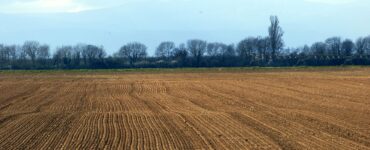 fanghi di depurazione