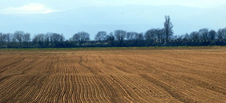 fanghi di depurazione