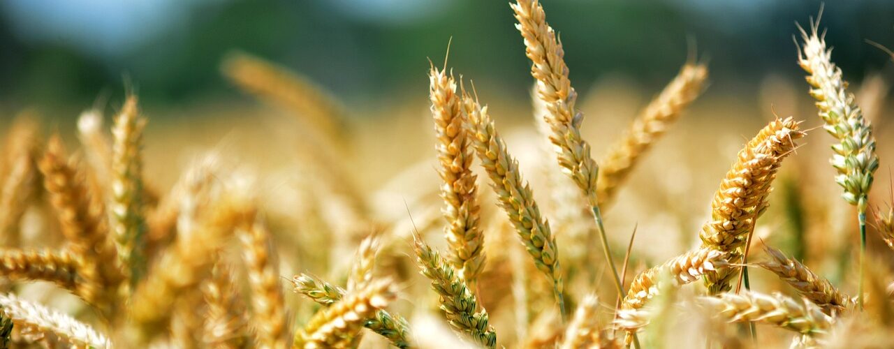 crisi oltrepò pavese