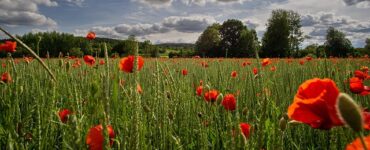 resistenza perdita produttiva