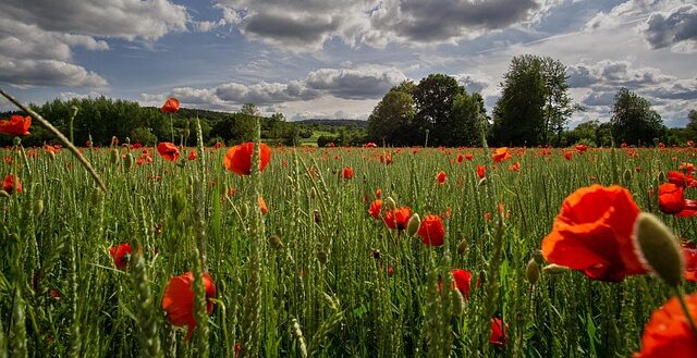 resistenza perdita produttiva