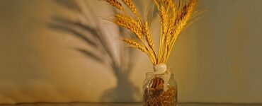 la resa si difende così