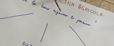 servizio civile agricolo