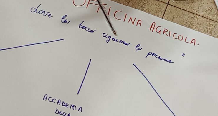 servizio civile agricolo