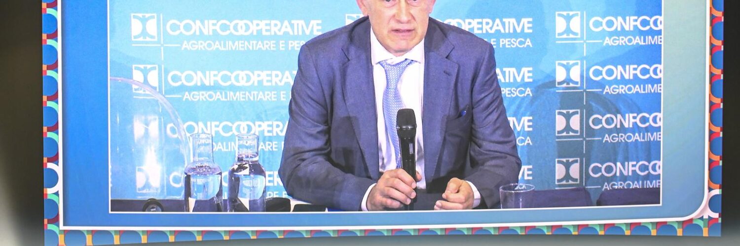 drei guida cooperativo