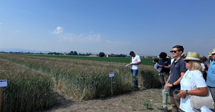 variet&agrave; prova clima