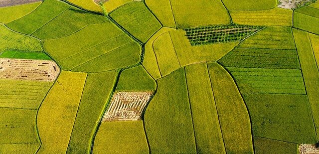 cereali biodiversità