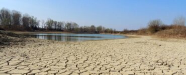acqua allarme cereali