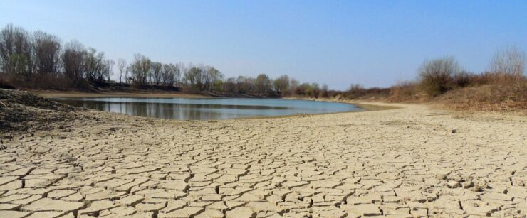acqua allarme cereali