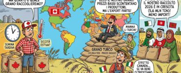 Raccolto grano duro mondiale