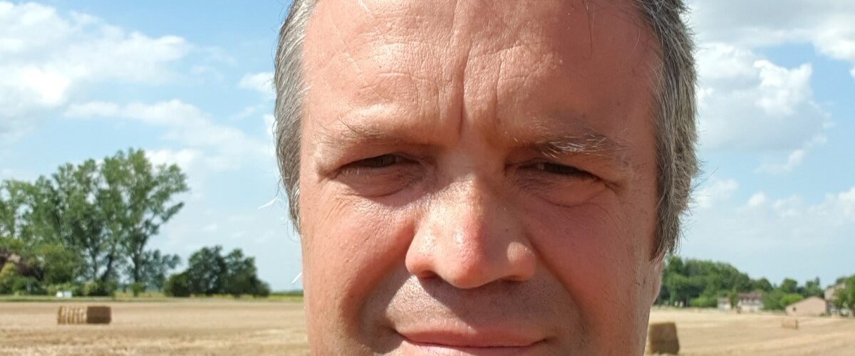 In Emilia Romagna, il grano gode: rese elevate grazie ad un approccio tecnico attento