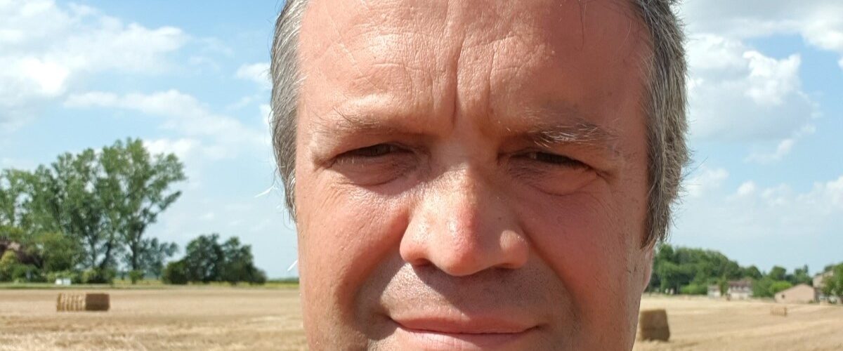 In Emilia Romagna, il grano gode: rese elevate grazie ad un approccio tecnico attento