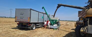 rese verso quota 100