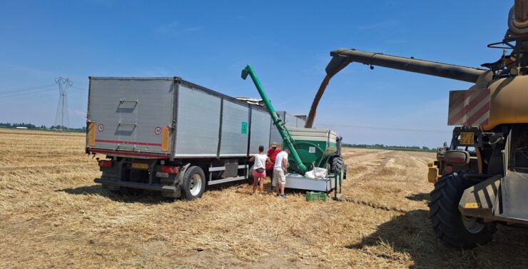 rese verso quota 100