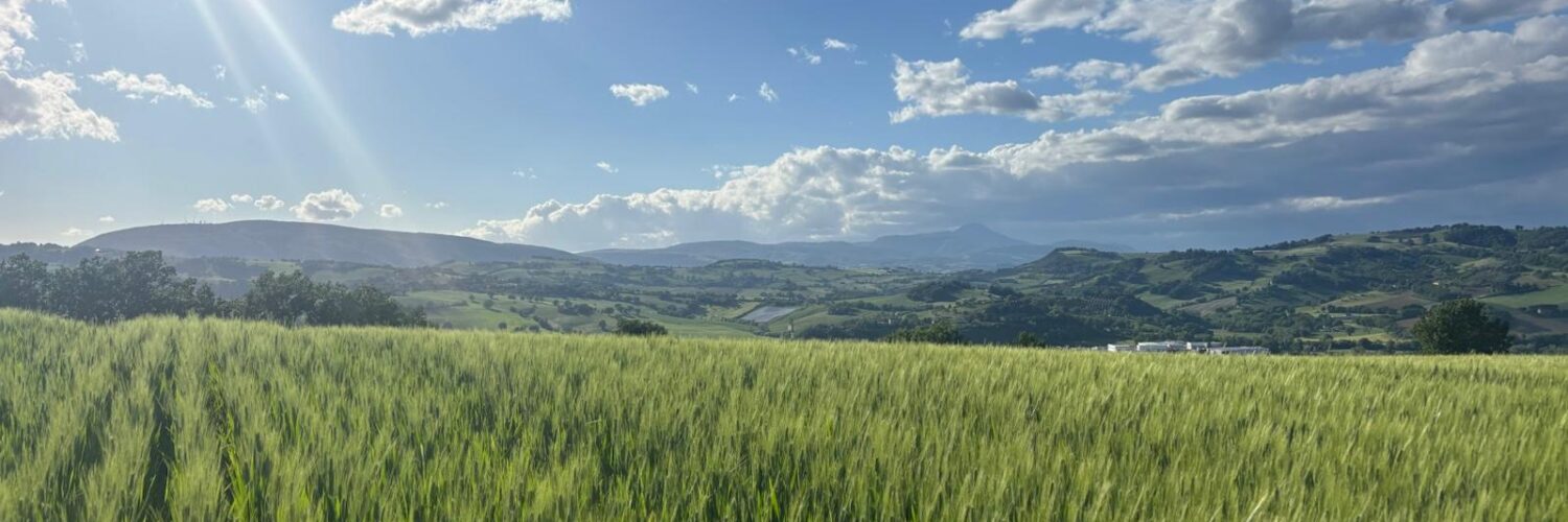 grano da generazioni