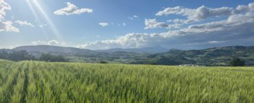 grano da generazioni