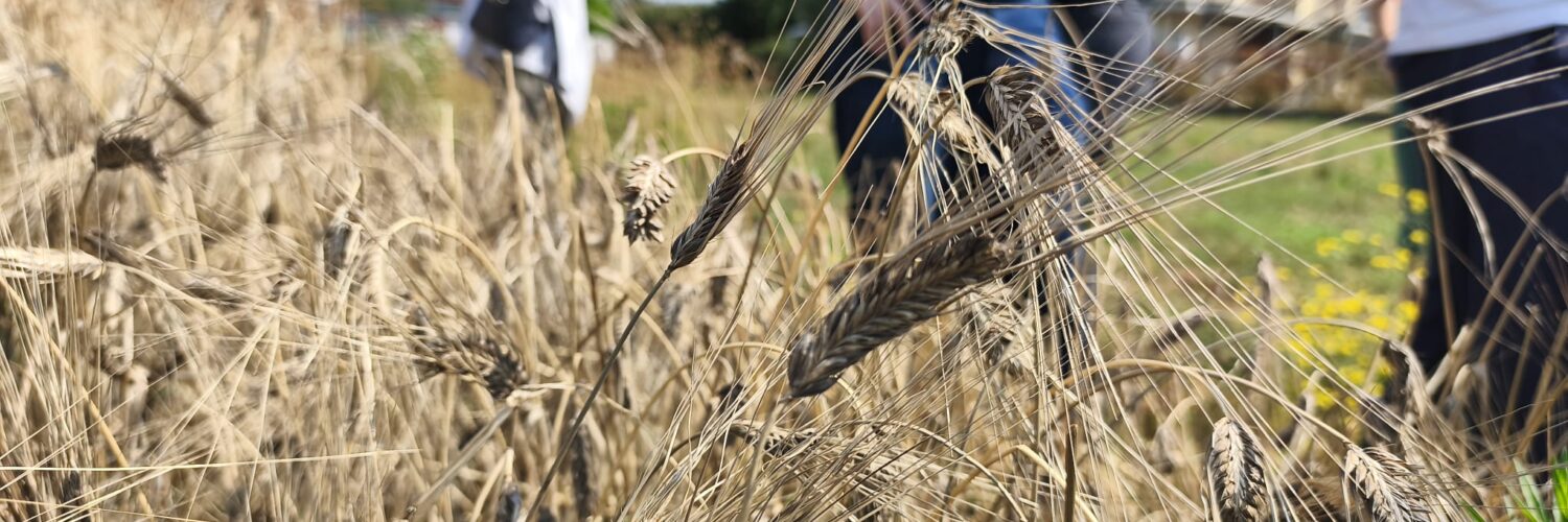 biodiversità fa filiera