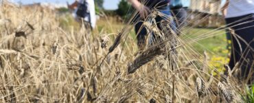 biodiversità fa filiera