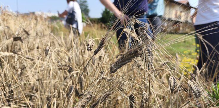 biodiversità fa filiera