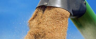 oltre 4 milioni di tonnellate raccolte