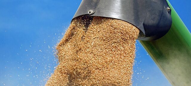 oltre 4 milioni di tonnellate raccolte
