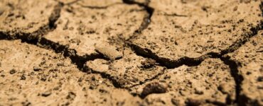 grano chiede acqua