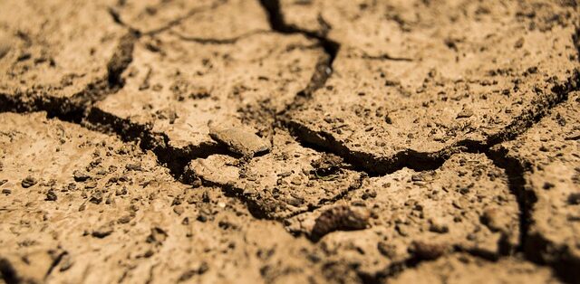 grano chiede acqua