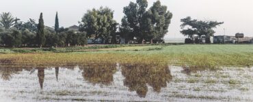 nuova PAC Agricat