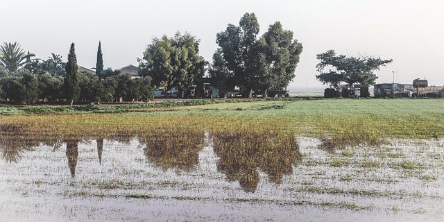 nuova PAC Agricat