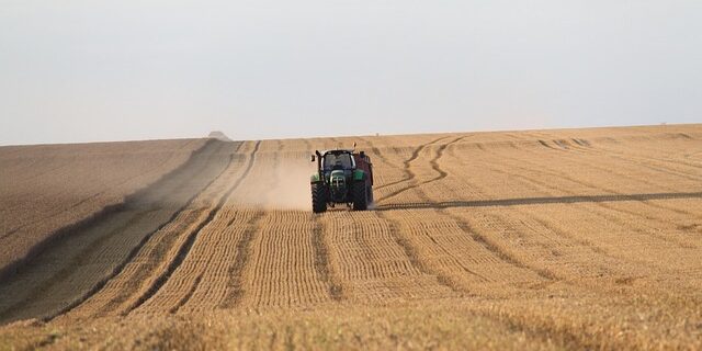 trattori il bando slitta