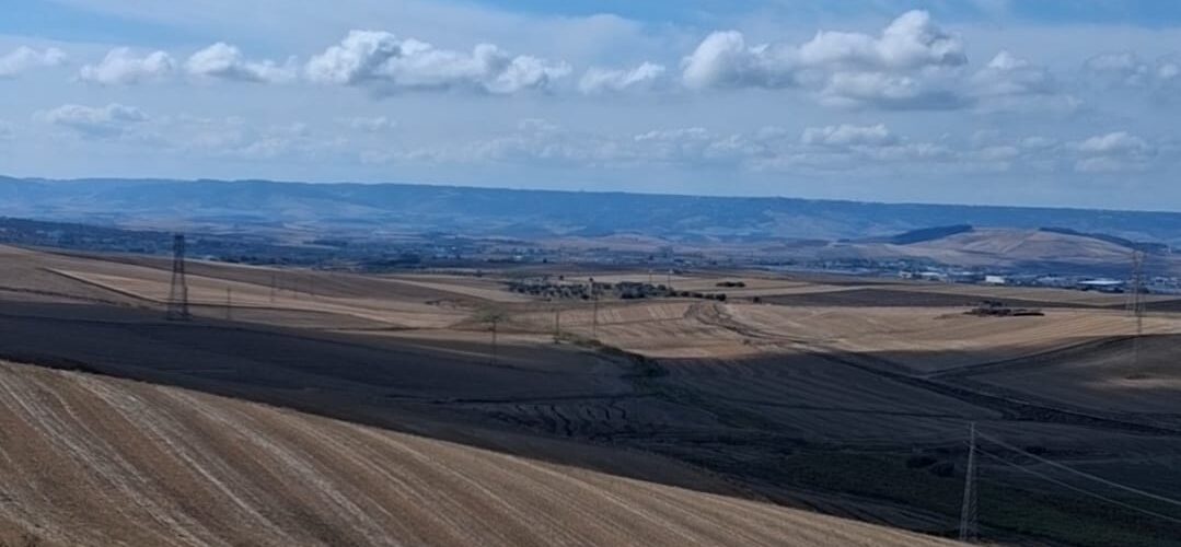 la qualità è solo proteina