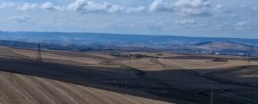 la qualità è solo proteina