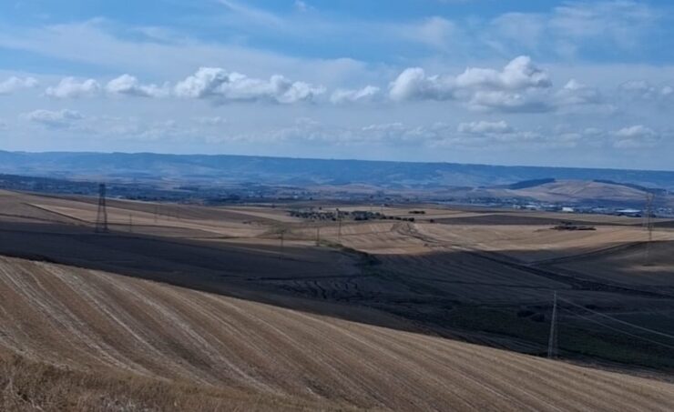 la qualità è solo proteina