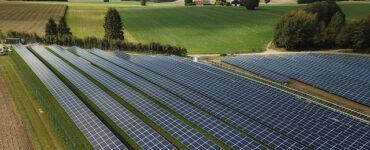 frumento agrivoltaico